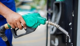 Giá xăng dầu hôm nay ngày 5/3: Tiếp tục tăng mạnh lên đỉnh