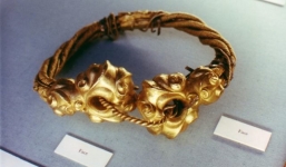 Đổi vận khi tìm được kho báu đầy vàng trong lúc cày ruộng