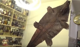 Lộ diện căn phòng bí mật chứa 2 bộ da cá sấu, hàng trăm chai rượu quý của Phúc XO