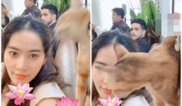 Nam Em bất ngờ lộ 'người tình giấu mặt' khi Trường Giang, Nhã Phương công khai tên con gái