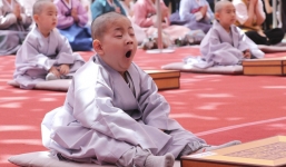 Loạt ảnh dễ thương của các chú tiểu  trong lễ đón Phật Đản ở Hàn Quốc gây bão mạng