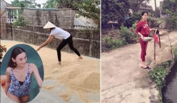 Những hình ảnh 'gây bão' của các chân dài khi về quê rửa bát, cào lúa