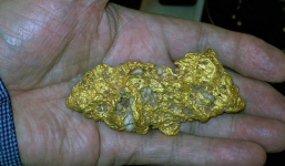 Nhặt được vàng trị giá hàng nghìn USD khi dắt chó đi dạo