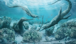 Áo: Phát hiện 'quái vật khủng' từng thống trị đại dương
