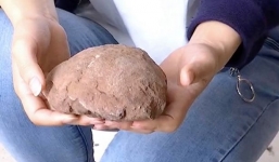 Vấp phải trứng khủng long 66 triệu năm tuổi khi đi dạo