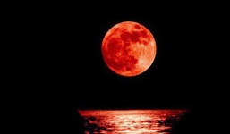 Sắp đón nhật thực toàn phần duy nhất trong năm 2019