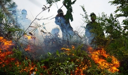 Rừng thông ở Đà Nẵng bốc cháy dữ dội