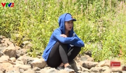 Đỗ Mỹ Linh hứng 'gạch đá' vì thái độ lười nhác trên sóng truyền hình