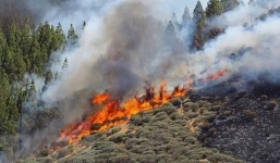 Cháy rừng ở Tây Ban Nha, gần 1.000 người sơ tán khẩn cấp