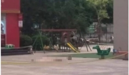 Phó GĐ Sở Nông nghiệp Hà Nội rơi từ tầng 27 tử vong