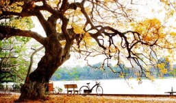 Dự báo thời tiết mới nhất hôm nay 24/8: Miền Bắc chấm dứt mưa dông