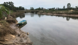 Cá sấu xuất hiện trên sông Hà Tĩnh sau mưa lớn gây xôn xao