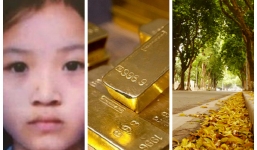 Tin tức thời sự 24h, bản tin thời sự chiều mới nhất hôm nay 1/10/2019
