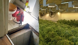 Phát hiện đường hầm bí mật dẫn đến trại cần sa hơn 50 triệu đô