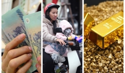 Tin tức thời sự 24h, bản tin thời sự chiều mới nhất hôm nay 25/11/2019