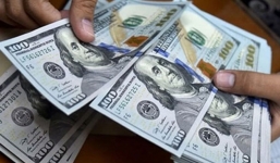 Ngân hàng Nhà nước bất ngờ giảm mạnh giá mua vào USD