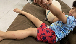 Chồng cũ đưa con về giỗ ông ngoại, Ngọc Lan đăng ảnh 'dằn mặt'