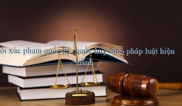 Khởi tố hình sự nam thanh niên ném cờ Tổ quốc xuống sông