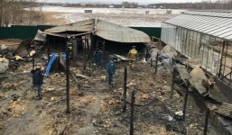 Cháy nông trại nhà kính ở Nga, 8 người Việt thiệt mạng