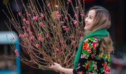 Dự báo thời tiết 27 Tết Nguyên đán: Hà Nội mưa phùn, rét dưới 11 độ