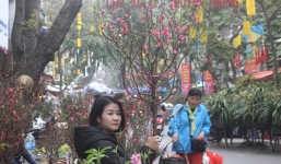 Dự báo thời tiết mùng 2 Tết Nguyên đán: Hà Nội rét đậm