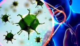 Thực hư thông tin 'trên 25 độ là diệt chết virus corona' khiến dư luận hoang mang