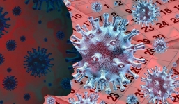 Sức phá hủy của virus corona đến cơ quan bên trong của người