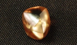 Bất ngờ nhặt được viên kim cương khủng khi đi dạo công viên