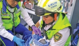 Thấy tiếng động lạ trong bức tường, người phụ nữ 'chết đứng người' khi biết sự thật