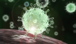 Phát hiện thêm đường lây nhiễm mới của virus corona