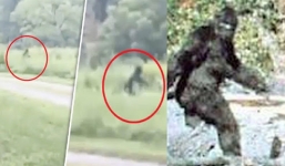 Xuất hiện bằng chứng về sự tồn tại của quái vật Bigfoot
