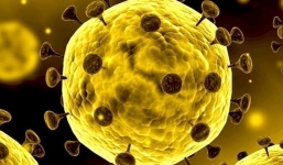 Phát hiện thuốc ngăn ngừa virus corona sinh sôi nhân bản