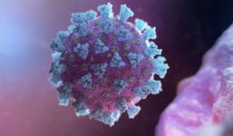 Trung Quốc dự đoán thời điểm bước ngoặt của dịch Covid-19