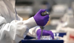 Đã tìm được loài vật thử nghiệm vắc -xin ngừa Covid-19