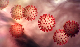 Tìm ra nhiệt độ khiến virus corona bị tiêu diệt hoàn toàn