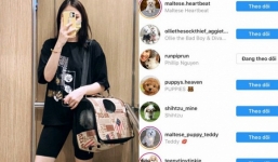 Linh Rin có động thái gắt sau tin đồn tái hợp em chồng Tăng Thanh Hà