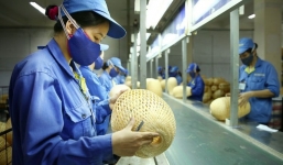 Lộ trình tăng tuổi nghỉ hưu từ 2021