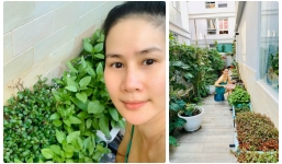 Thân Thúy Hà khoe ảnh tư gia nhưng nhan sắc mặt mộc mới gây chú ý