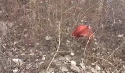 Sát hại vợ cũ rồi phân xác chở đi khắp nơi vì ghen