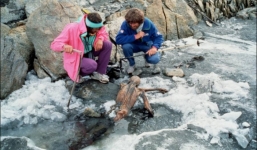 Xác ướp nghìn năm cùng lời nguyền đáng sợ đoạt mạng 7 người