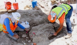 Đào đường, nhóm công nhân bất ngờ phát hiện phần mộ của 'quái thú' 