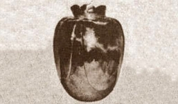 Bình hoa 'hắc ám' Basano và lời nguyền reo rắc cái chết gây chấn động nước Ý