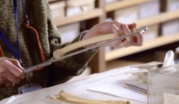 Phát hiện khu nghĩa trang kỳ dị với vết tích của người và quái thú hơn 6.000 năm tuổi