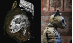 Vén màn bí ẩn về loạt xác ướp linh thiêng là vật bảo bối của các vị thần Ai Cập