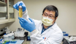 Phát hiện kháng thể siêu nhỏ có khả năng cô lập hoàn toàn virus gây ra Covid-19