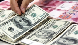 Tỷ giá ngoại tệ mới nhất hôm nay 17/9: Đồng USD quay đầu bất ổn