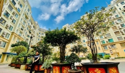 Lộ 'tư gia hoành tráng' với khu vườn nhỏ đắt giá của 'đại gia chân đất' Quang Tèo