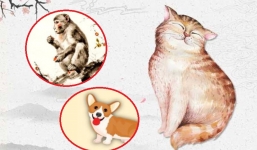 3 con giáp hốt trọn tài lộc, phất lên như 'diều gặp gió' trong năm 2021