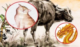 TOP 3 con giáp dễ vướng vào cám dỗ năm 2021, đặc biệt nhất là tuổi Thìn