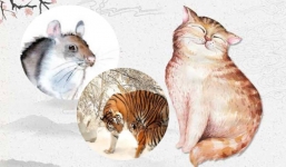 3 con giáp phát tài phát lộc, đếm tiền không ngơi nghỉ trong năm 2021